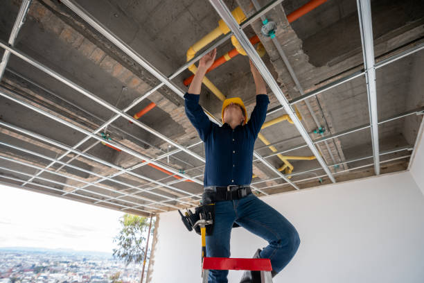Best Affordable Plumbing Services  in Fellsmere, FL