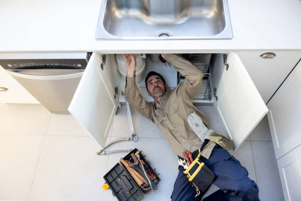 Best Residential Plumbing Services  in Fellsmere, FL