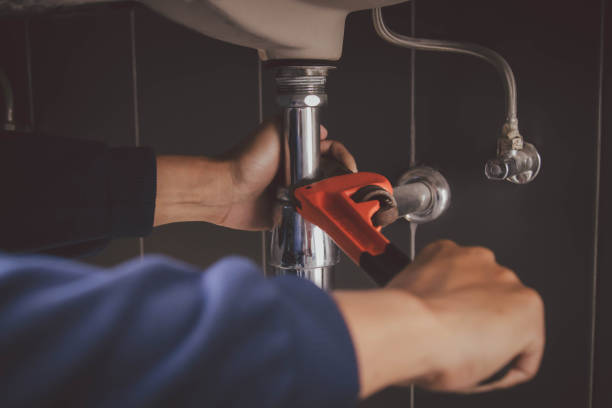 Best Plumbing Inspection Services  in Fellsmere, FL